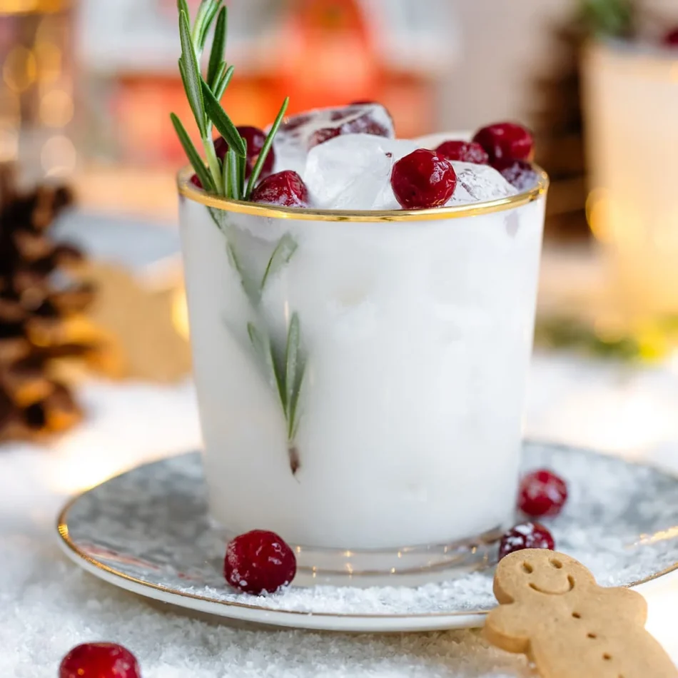 Cranberry Coconut Magarita